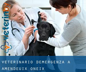 Veterinario d'Emergenza a Amendeuix-Oneix