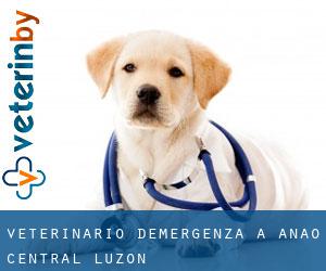 Veterinario d'Emergenza a Anao (Central Luzon)