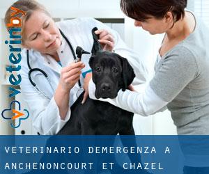 Veterinario d'Emergenza a Anchenoncourt-et-Chazel