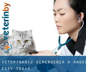 Veterinario d'Emergenza a Angel City (Texas)
