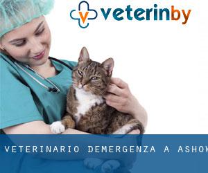 Veterinario d'Emergenza a Ashow