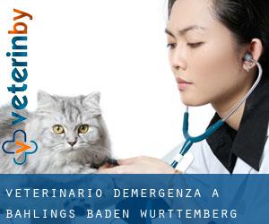 Veterinario d'Emergenza a Bahlings (Baden-Württemberg)