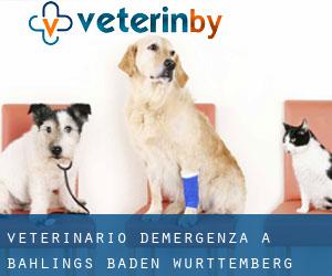 Veterinario d'Emergenza a Bahlings (Baden-Württemberg)