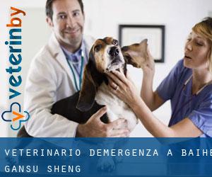 Veterinario d'Emergenza a Baihe (Gansu Sheng)