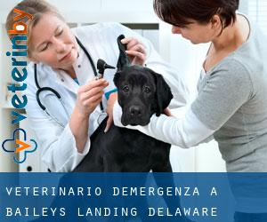 Veterinario d'Emergenza a Baileys Landing (Delaware)