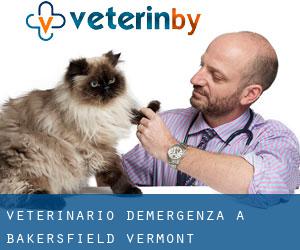 Veterinario d'Emergenza a Bakersfield (Vermont)