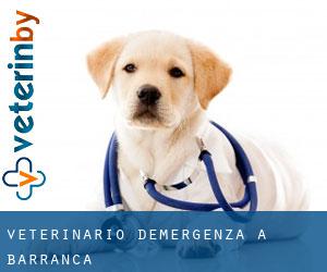 Veterinario d'Emergenza a Barranca