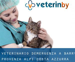 Veterinario d'Emergenza a Barry (Provenza-Alpi-Costa Azzurra)