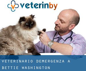 Veterinario d'Emergenza a Bettie (Washington)