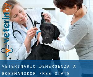 Veterinario d'Emergenza a Boesmanskop (Free State)