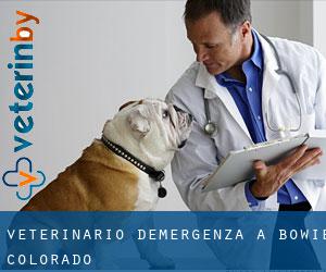 Veterinario d'Emergenza a Bowie (Colorado)