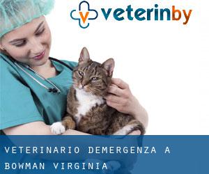 Veterinario d'Emergenza a Bowman (Virginia)