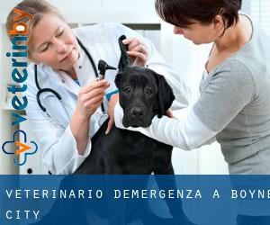 Veterinario d'Emergenza a Boyne City