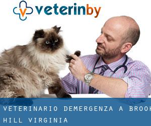 Veterinario d'Emergenza a Brook Hill (Virginia)