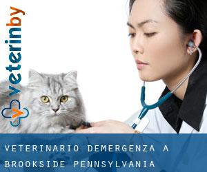 Veterinario d'Emergenza a Brookside (Pennsylvania)