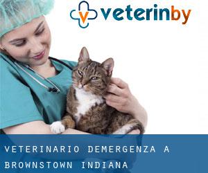 Veterinario d'Emergenza a Brownstown (Indiana)