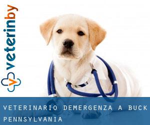 Veterinario d'Emergenza a Buck (Pennsylvania)