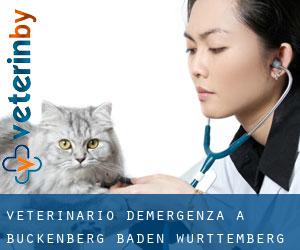 Veterinario d'Emergenza a Buckenberg (Baden-Württemberg)