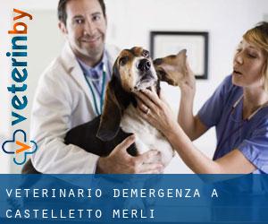 Veterinario d'Emergenza a Castelletto Merli