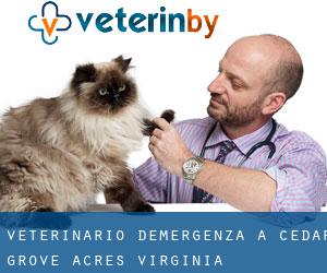 Veterinario d'Emergenza a Cedar Grove Acres (Virginia)
