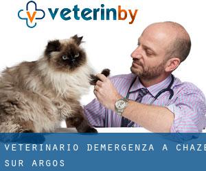 Veterinario d'Emergenza a Chazé-sur-Argos