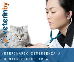 Veterinario d'Emergenza a Chénier (census area)