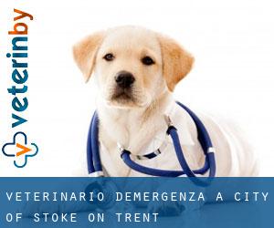 Veterinario d'Emergenza a City of Stoke-on-Trent