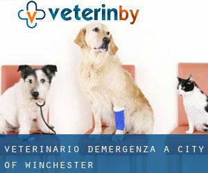 Veterinario d'Emergenza a City of Winchester