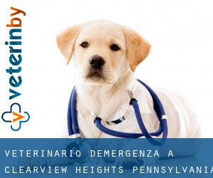 Veterinario d'Emergenza a Clearview Heights (Pennsylvania)