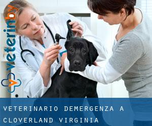 Veterinario d'Emergenza a Cloverland (Virginia)