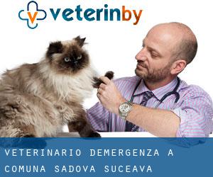 Veterinario d'Emergenza a Comuna Sadova (Suceava)