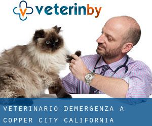 Veterinario d'Emergenza a Copper City (California)