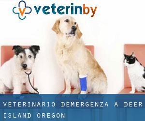 Veterinario d'Emergenza a Deer Island (Oregon)