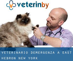 Veterinario d'Emergenza a East Hebron (New York)