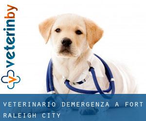 Veterinario d'Emergenza a Fort Raleigh City