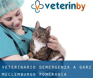Veterinario d'Emergenza a Garz (Meclemburgo-Pomerania Anteriore)