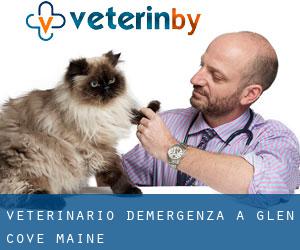 Veterinario d'Emergenza a Glen Cove (Maine)