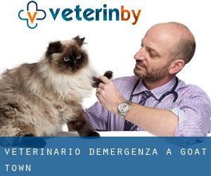 Veterinario d'Emergenza a Goat Town