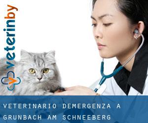 Veterinario d'Emergenza a Grünbach am Schneeberg