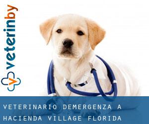 Veterinario d'Emergenza a Hacienda Village (Florida)