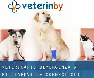 Veterinario d'Emergenza a Hilliardville (Connecticut)