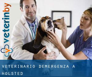 Veterinario d'Emergenza a Holsted
