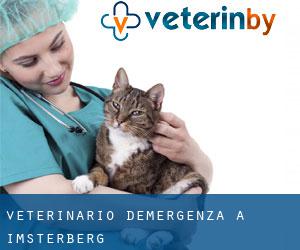 Veterinario d'Emergenza a Imsterberg