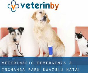 Veterinario d'Emergenza a Inchanga Park (KwaZulu-Natal)