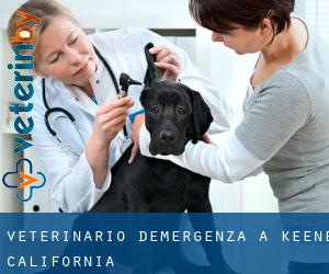 Veterinario d'Emergenza a Keene (California)