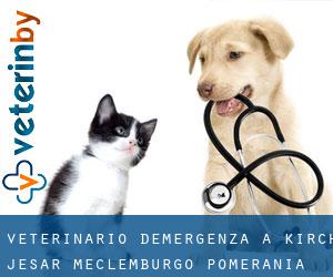 Veterinario d'Emergenza a Kirch Jesar (Meclemburgo-Pomerania Anteriore)
