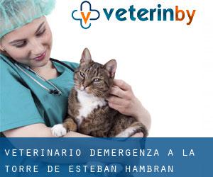 Veterinario d'Emergenza a La Torre de Esteban Hambrán