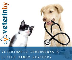 Veterinario d'Emergenza a Little Sandy (Kentucky)