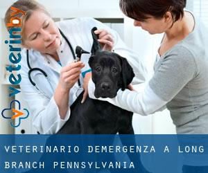 Veterinario d'Emergenza a Long Branch (Pennsylvania)