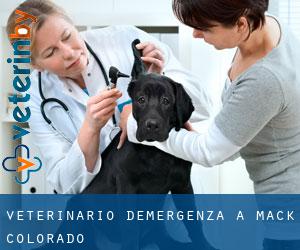 Veterinario d'Emergenza a Mack (Colorado)